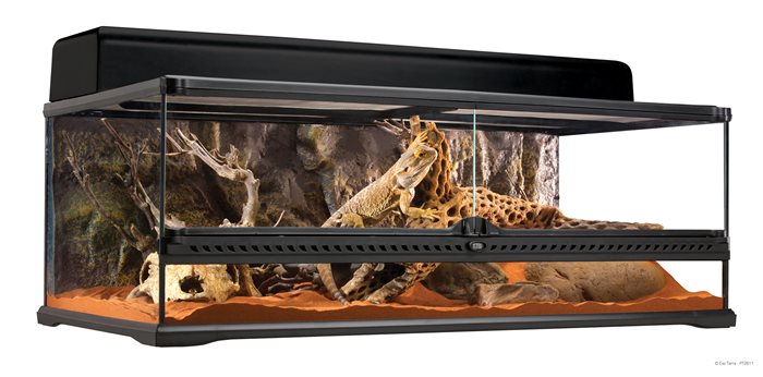 טרריום אקזוטרה 90x45x30