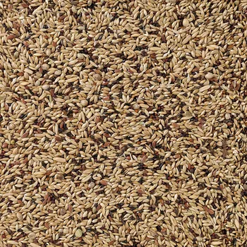 מזון לכנרים דיילי נייצ'ר 1 קילו