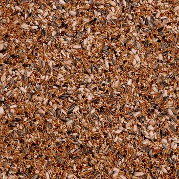 מזון פרקטים דיילי נייצ'ר 1 קילו