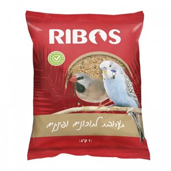 בעלי כנף