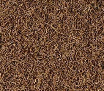 תולעי דם טרופיקל 8 גרם