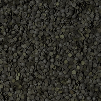 ספירולינה סופר פורטה צ'יפס 1000 מ”ל טרופיקל